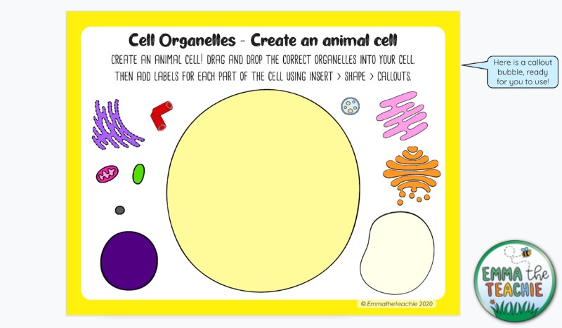 A screenshot of a Google Slides activity for Cell Organelles showing an empty animal cell with drag and drop organelles