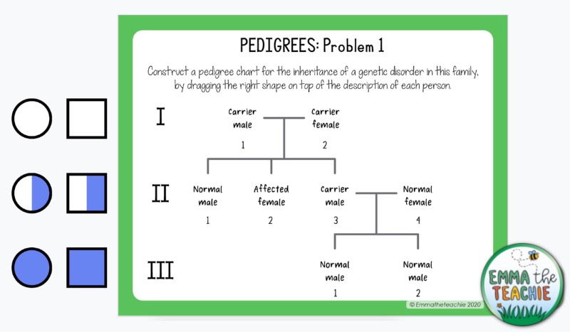 A screenshot of a Google Slides activity for Pedigrees showing drag and drop symbols to build a pedigree chart