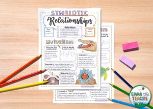 4 Reasons You Need to Use Doodle Notes in Your Biology Lessons