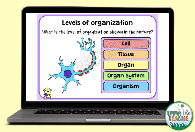 Picture of a computer showing one slide of a Boom Card deck. This specific task asks students to select the level of organization that is shown on the screen. This is one example of a biology review activity.