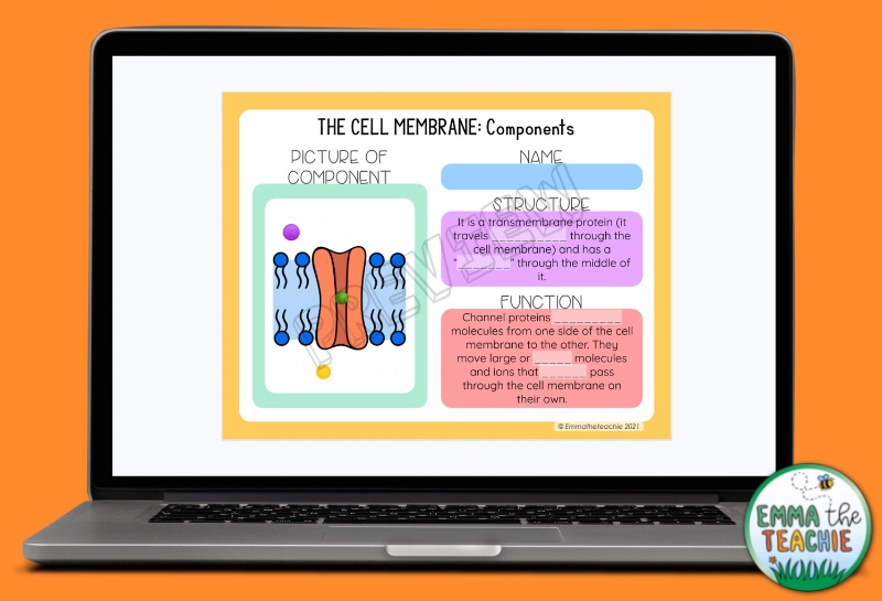 Picture of a computer with a Google Slides activity where students use a GIF to answer questions about the components of a cell membrane. On the left is a GIF showing a transport channel within the cell membrane. On the right is where students answer the questions.
