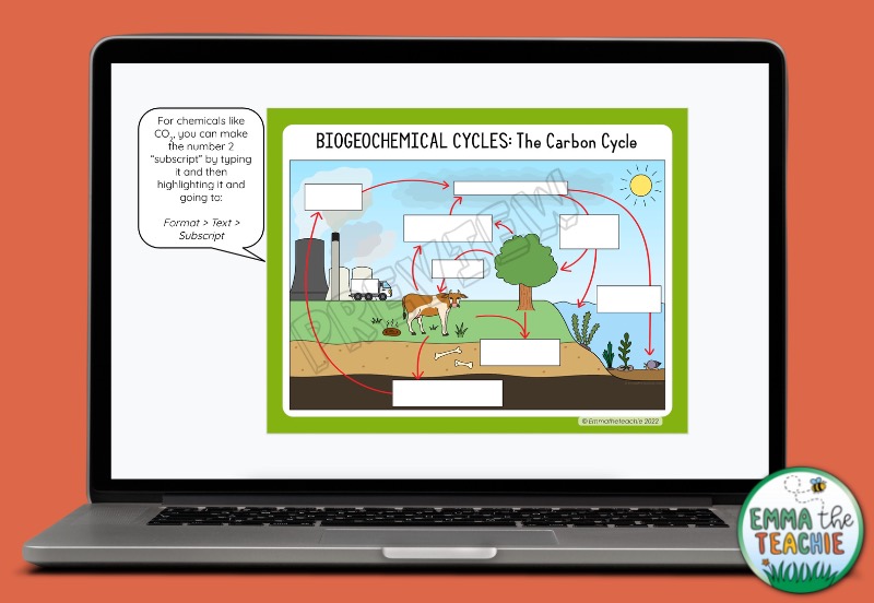 Picture of a computer with a Google Slides activity where students are asked to label a diagram of the carbon cycle.