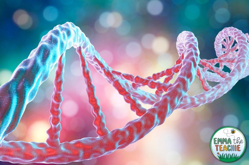 An up-close and 3D image of the DNA double helix.