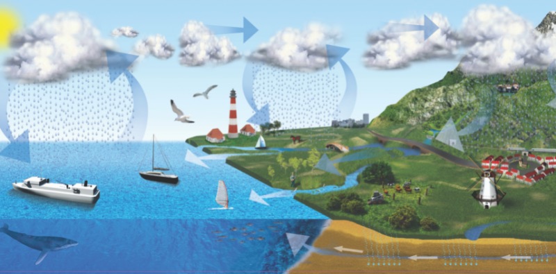 An image showing the water cycle within a body of water and neighboring land.