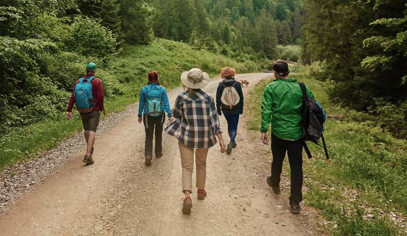 A group of five people are out for a hike on a wide path surrounded by trees. This is a great end of year biology activity and can be linked to a variety of tasks, e.g. identifying tree species.