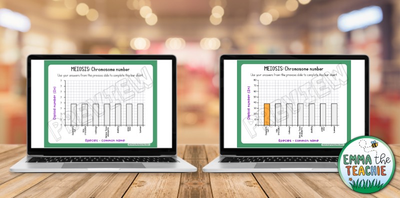 An image with two computers side-by-side. The two computers show differentiated Google Slide activities for Meiosis. The computer on the left shows a screen of creating a bar graph without y-axis labels and no examples. The computer on the right shows the same activity, but the y-axis is filled in and there is an example.