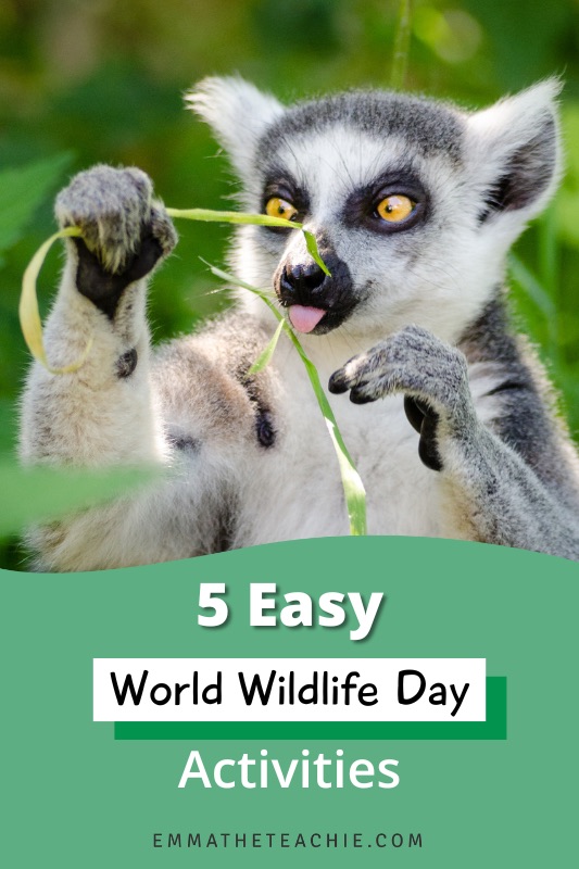 A pin image with an image of a lemur eating leaves, and writing on the bottom that reads, "5 Easy World Wildlife Day Activities."