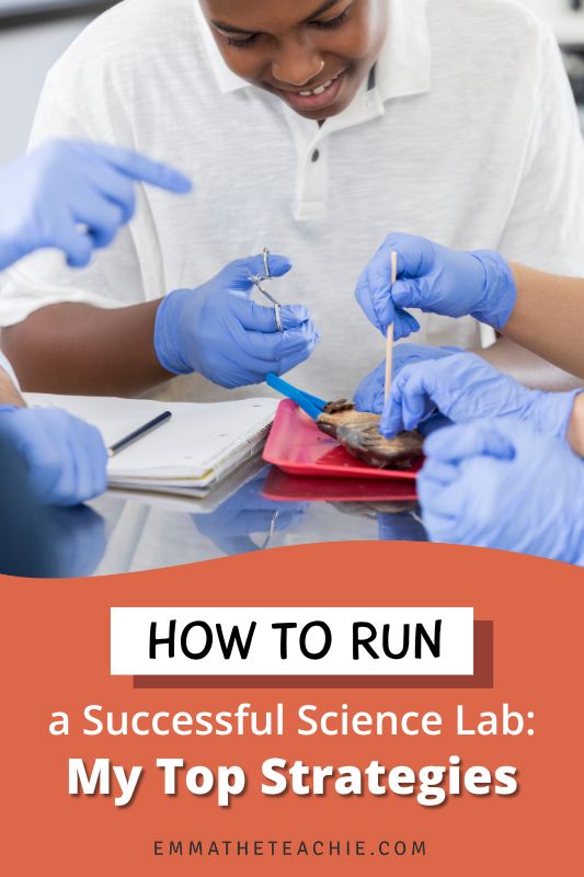 A pin image with writing on the bottom that reads, “My Top Strategies for How to Run a Successful Science Lab.” On the right, there is an image of a student completing a dissection.