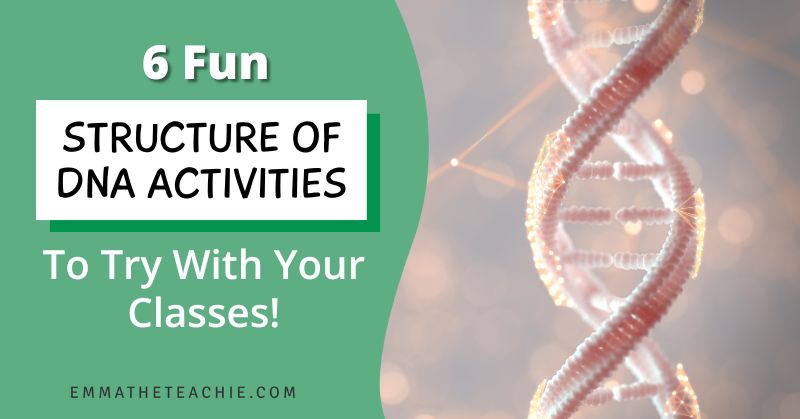 A banner image with writing on the left that reads, “6 Fun Structure of DNA Activities to Try.” On the right, there is an image of a 3D computerized image of DNA.