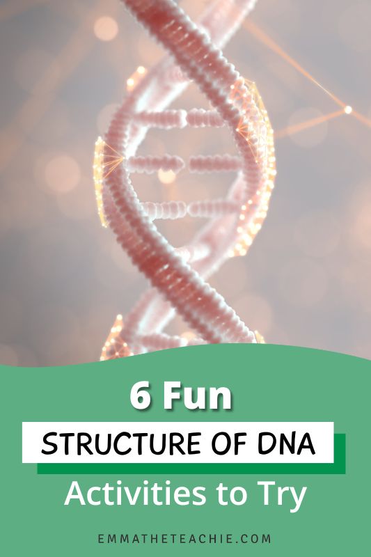 A Pin image with writing on the bottom that reads, “6 Fun Structure of DNA Activities to Try.” On the right, there is an image of a 3D computerized image of DNA.