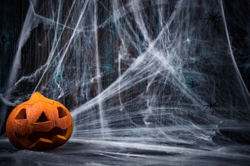 An image with a jack-o-lantern in the bottom left corner. The rest of the image is a spider web or cobweb.